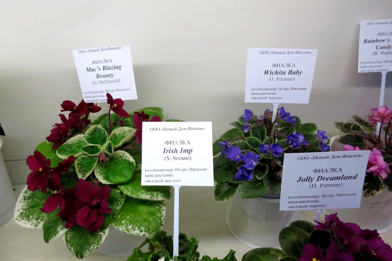 2019-09-19 19.47.33.JPG