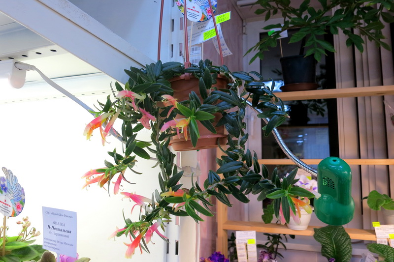 2019-09-19 19.46.48.JPG