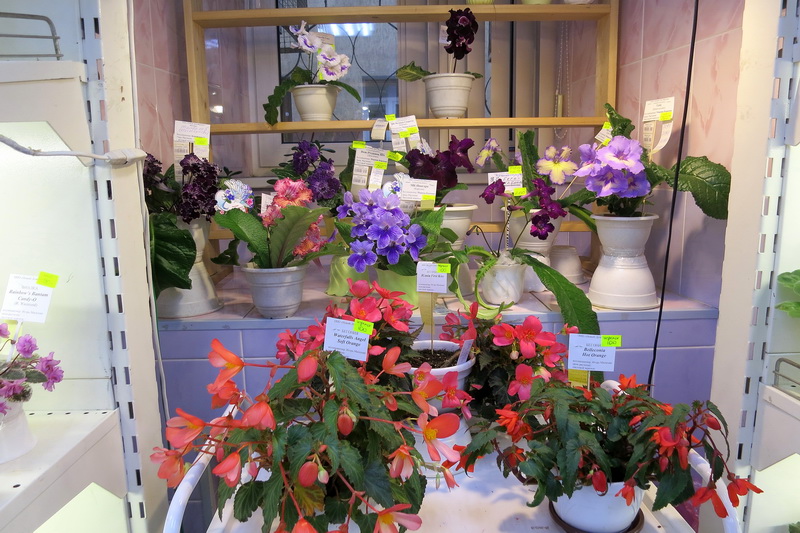 2019-09-25 17.23.20.JPG