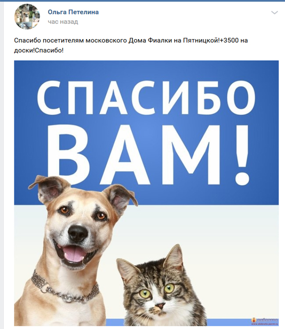 Screenshot_2019-11-10 Ольга Петелина.jpg