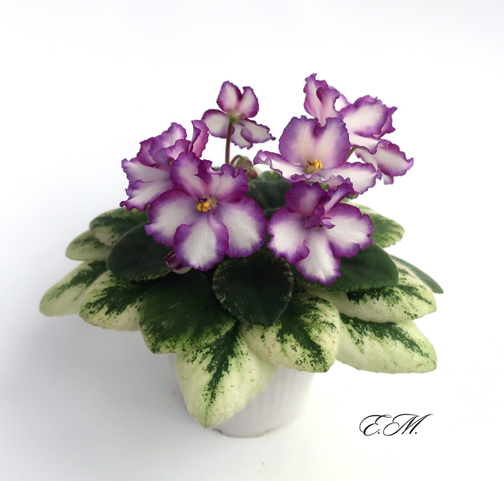 ЛЕ-Лунная-Радуга.jpg