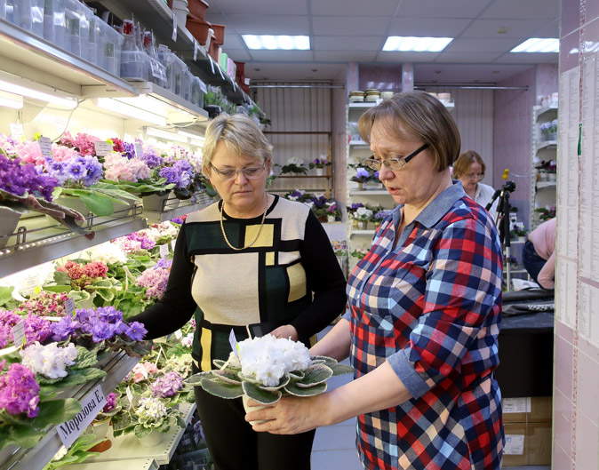 судьи.jpg
