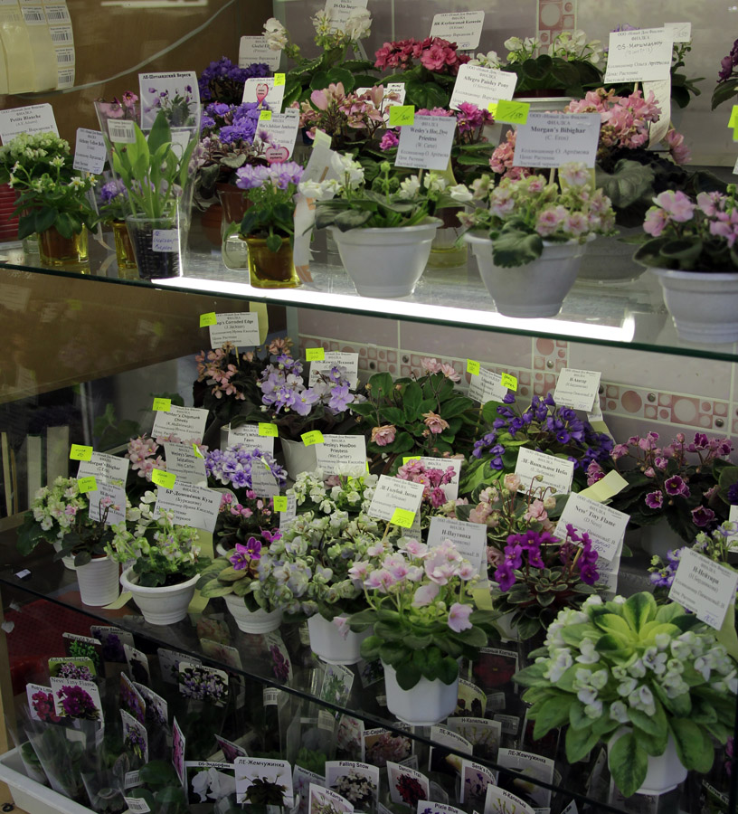 IMG_9294.JPG