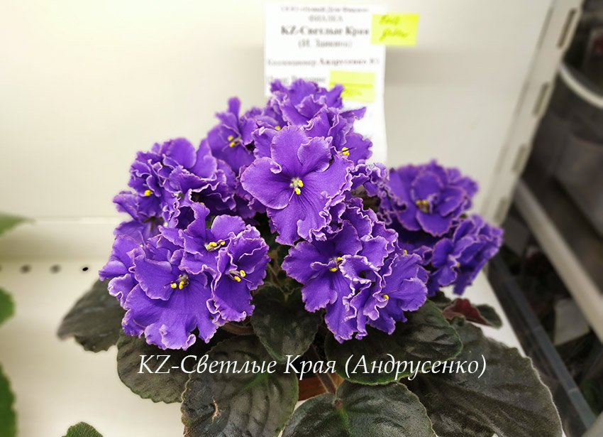 IMG_20191120_180254.jpg