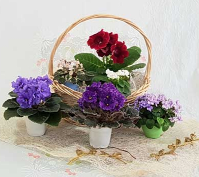 20191129_214710.jpg