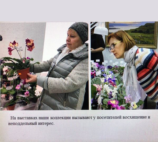 5.JPG
