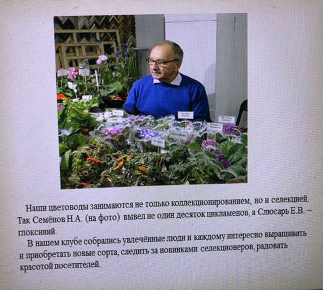 7а.jpg