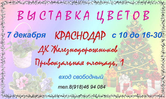 краснодар 7-12.jpg