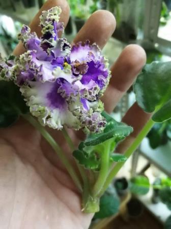 image-2019-12-07 01_04_43.jpg