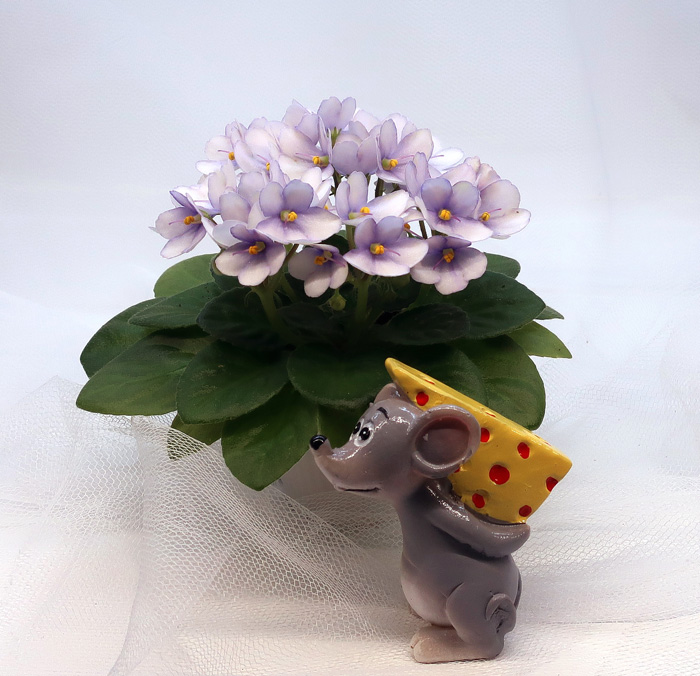 Optimara-Little-Trio.jpg