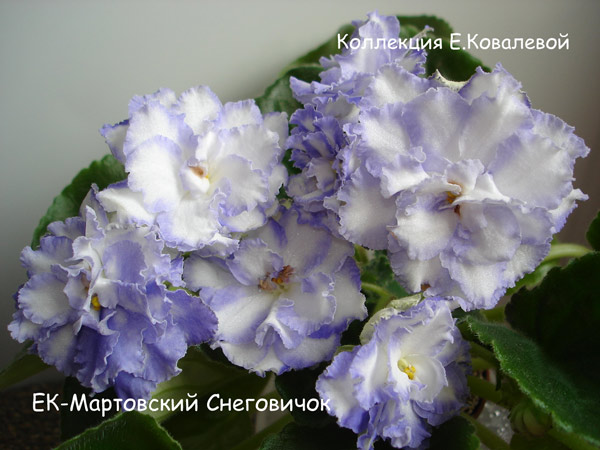 ЕК-Мартовский-Снеговичок-11.jpg