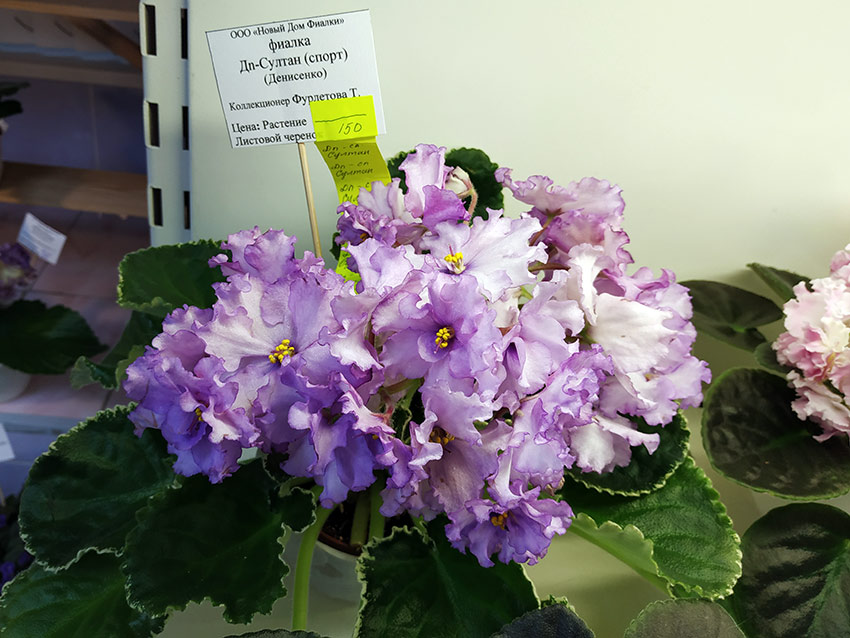 IMG_20200104_131340.jpg