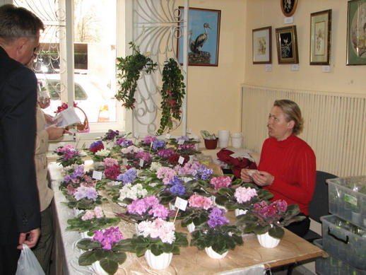 Светлана Джура