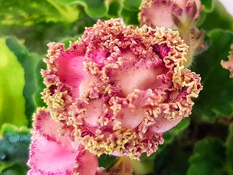 ЛЕ- №8 (20)1.jpg