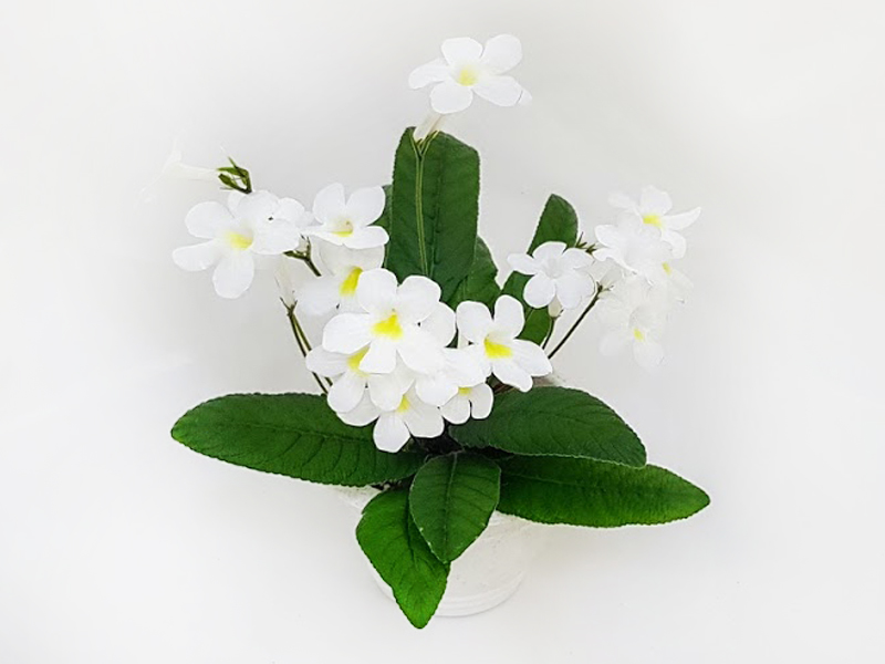 1 - Heartland's White Gold (D. Martens)  Н.Дорофеев.jpg