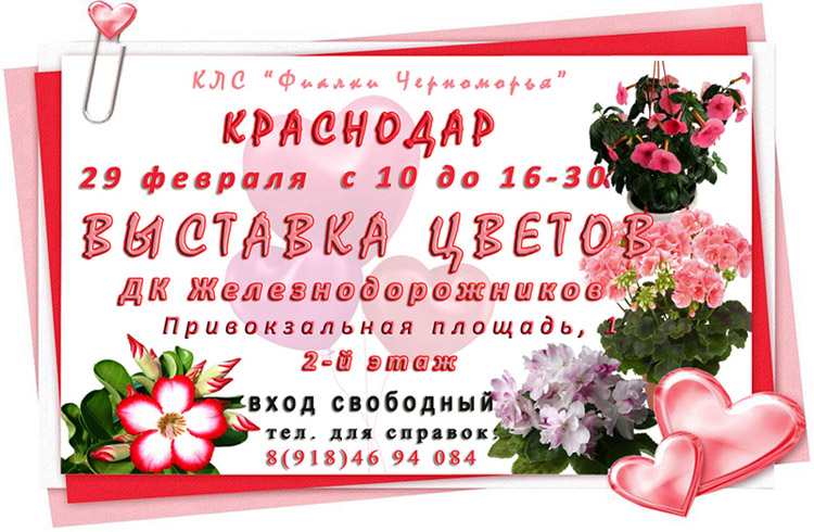 февраль-Краснодар1.jpg