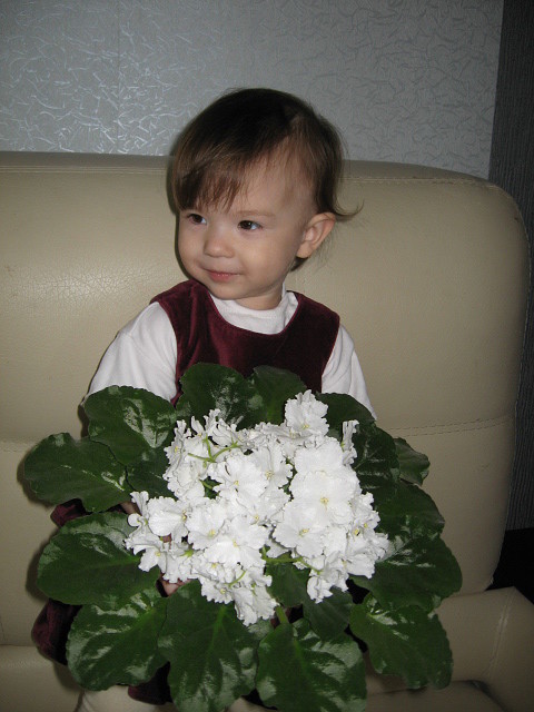 IMG_20200229_190319.jpg