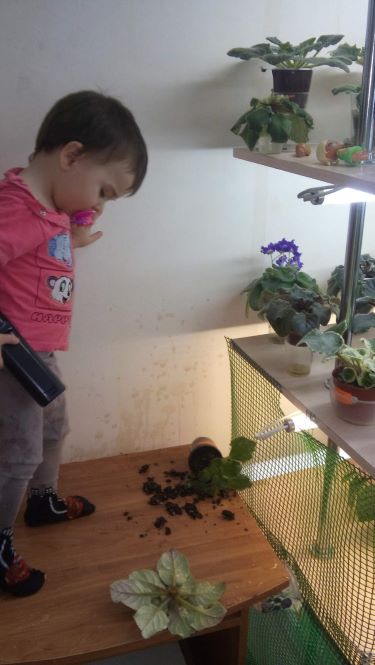 Лева.jpg