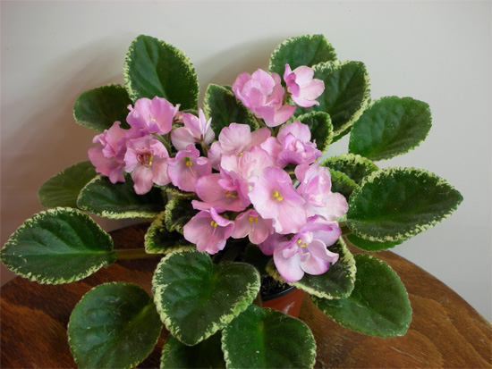 mas_silk_flowers.jpg