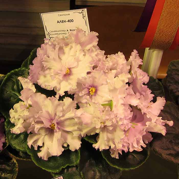 IMG_6297.JPG