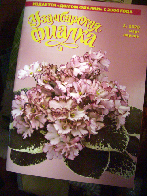 CIMG0219.JPG