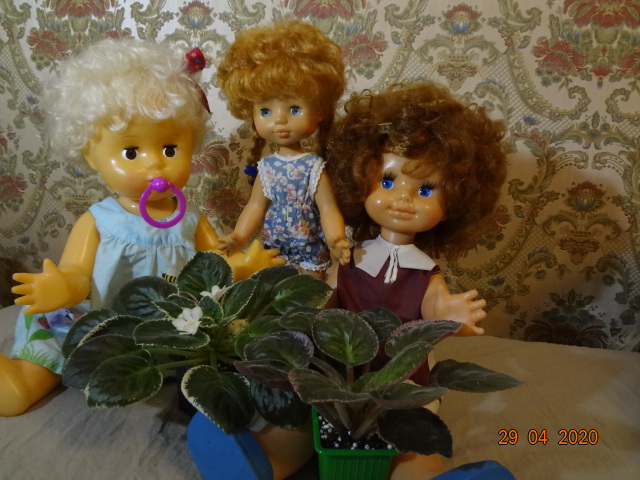 DSC00203.JPG