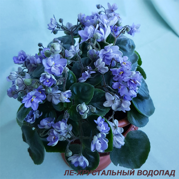 ЛЕ-Хрустальный водопад