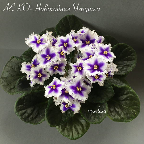 ЛЕКО-Новогодняя-Игрушка.jpg
