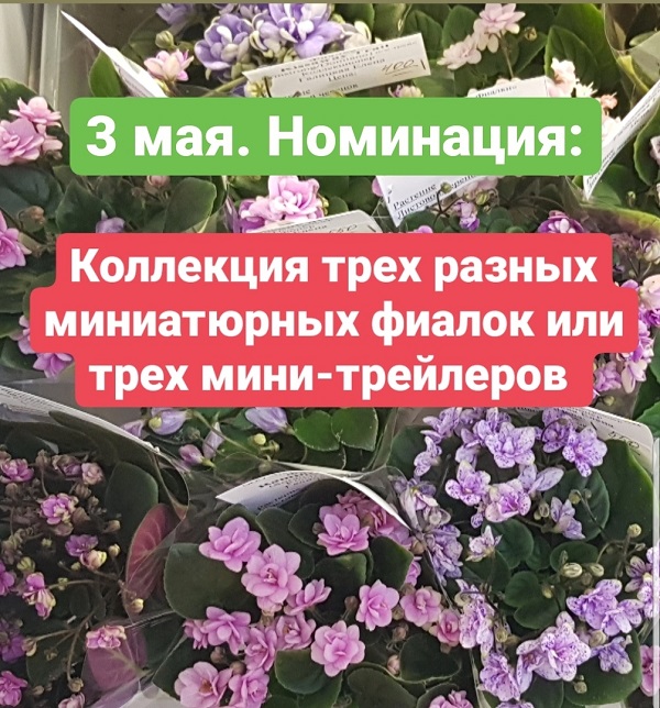 V_1w_9zGxlU.jpg