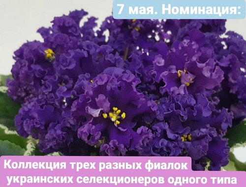 DIErE8O8eBo.jpg
