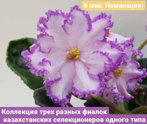 Uzt2xz3Ayrg.jpg