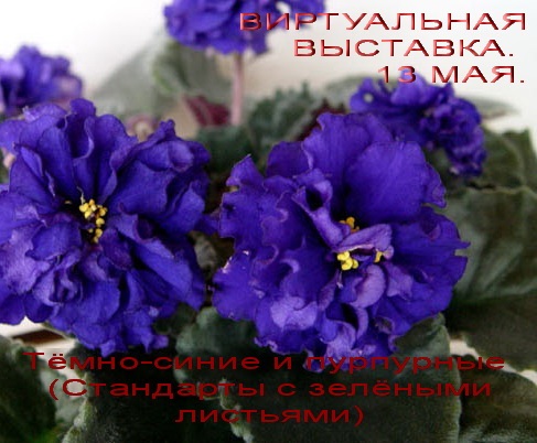 Темная Ночь (Дадоян).jpg