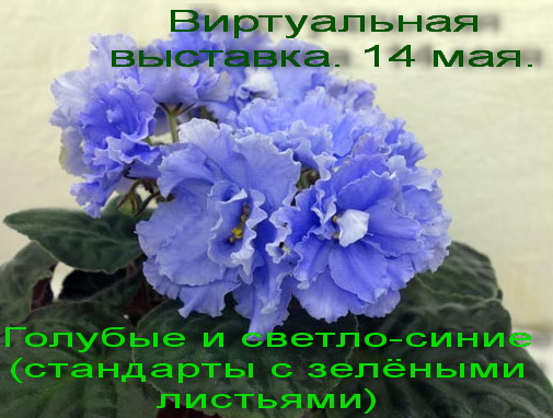 ЕК-Морской Волк.jpg