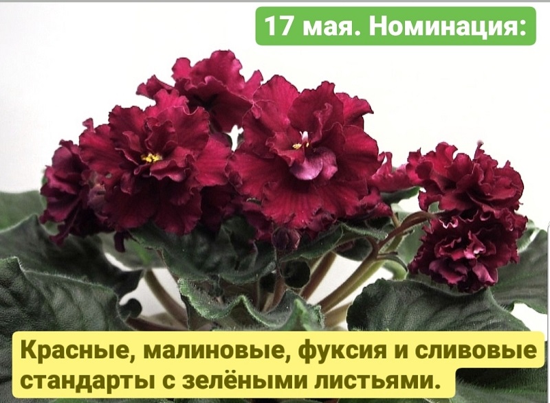 sWZlJU5zziM.jpg