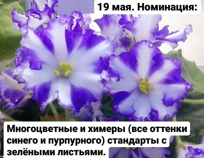 eePumKBoP1M.jpg