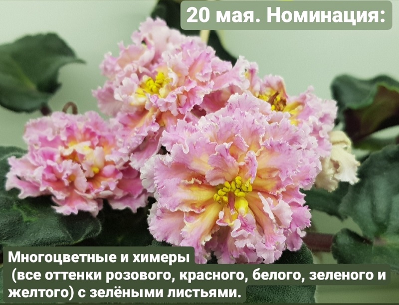 XA17XLG9l20.jpg