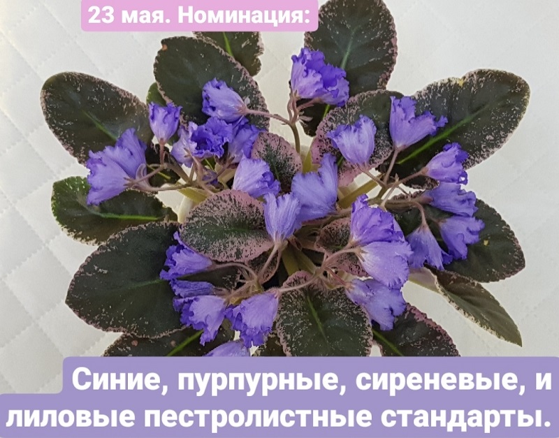 C_yUtgtCJzQ.jpg