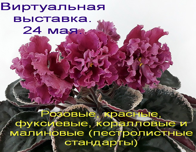 cNT8rkq8W2U.jpg