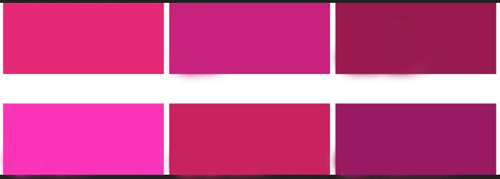 fuksia28-1.jpg