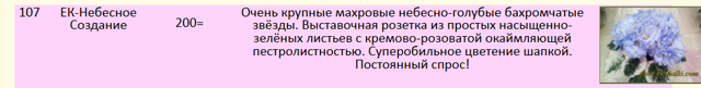 Screenshot_2020-05-24 Каталог селекция фиалок ЕК-Фиалки - фиалки-сенполии рф, каталог фиалок селекционера Коршунова Е В , п[...].png