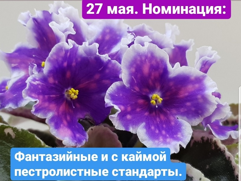 tHnX5n61Bww.jpg