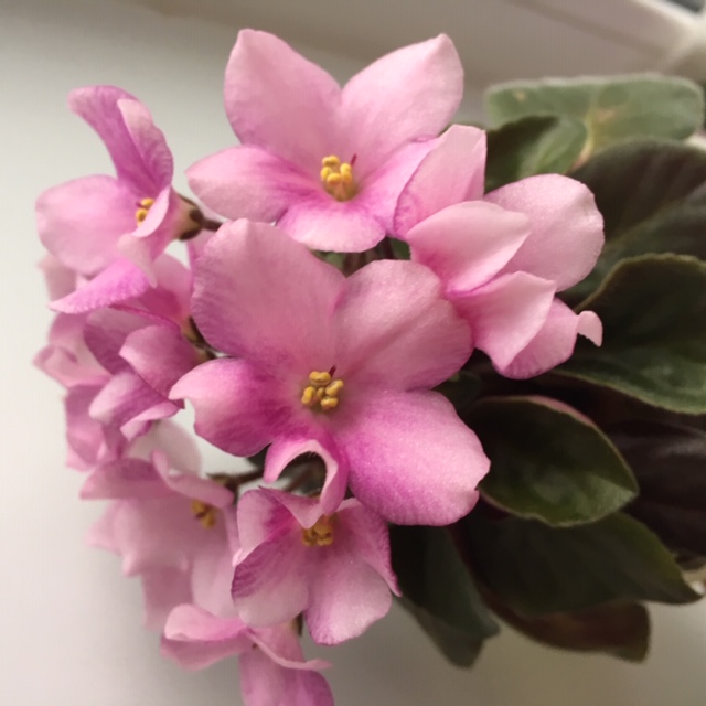 0E4B3746-996F-4BDF-B388-91E1840359DF.jpeg