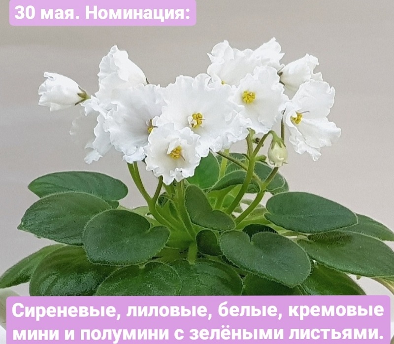 u_ro1-Ts4wM.jpg
