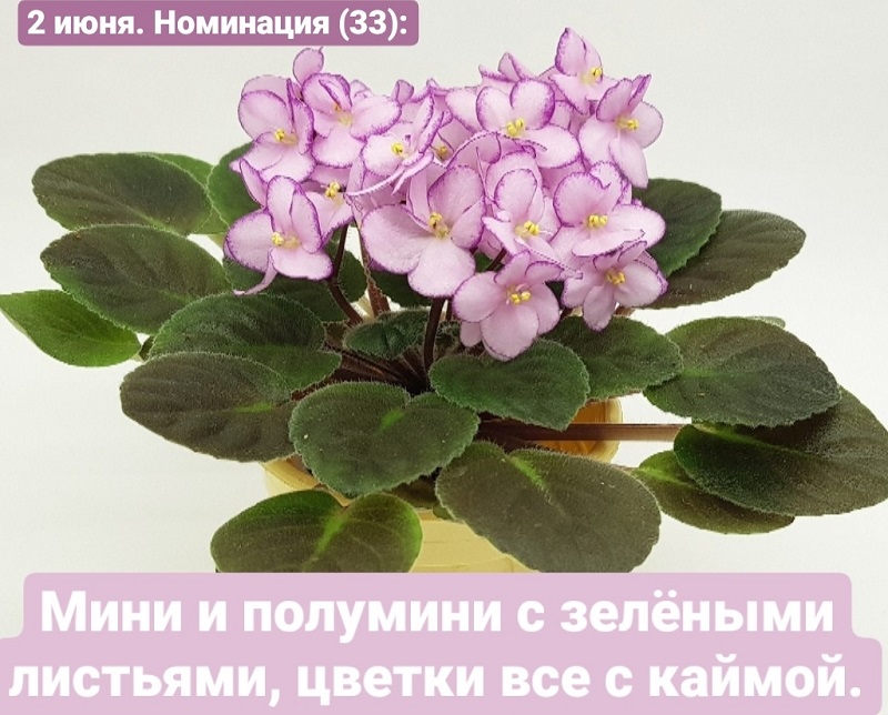 02Q5czCrmNM.jpg