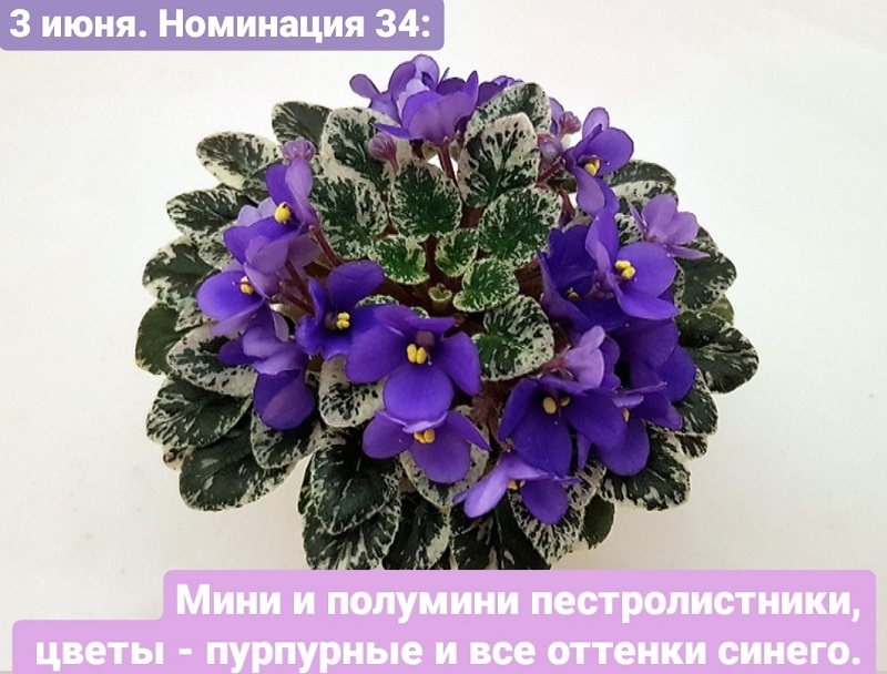 zGjgmYOJQX4.jpg