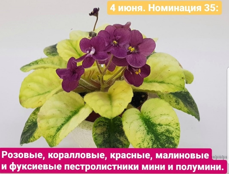 zGyUp6F8qnk (1).jpg