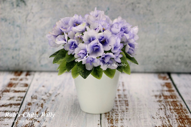 Rob's Chilly Willy