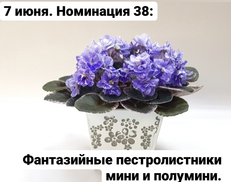 qLbUYRQzkfo.jpg