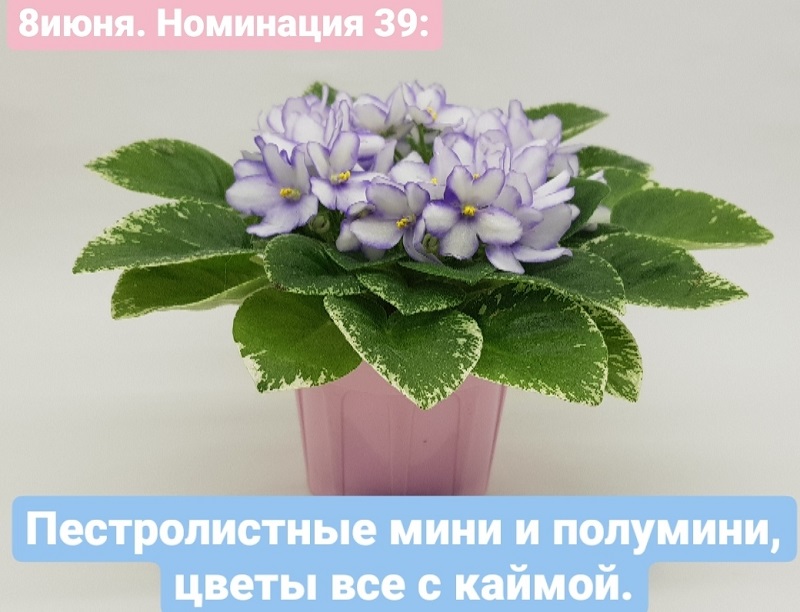 QXpplcwyS84.jpg