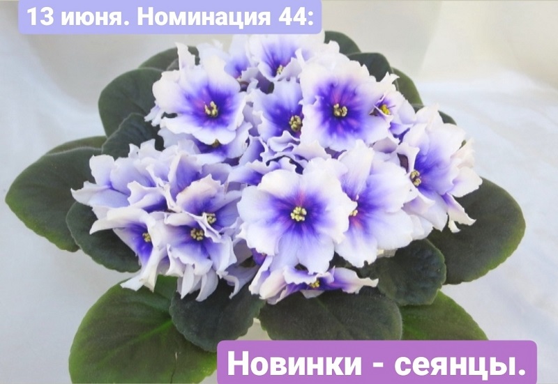 vMvyUMmWMG4.jpg
